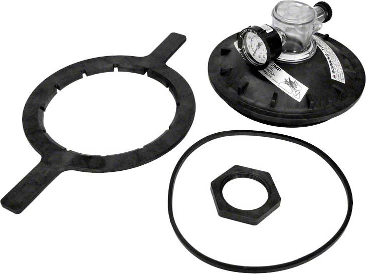 Pentair Triton Closure Replacement 8.5in | 154856Z by Pool Supply Depot