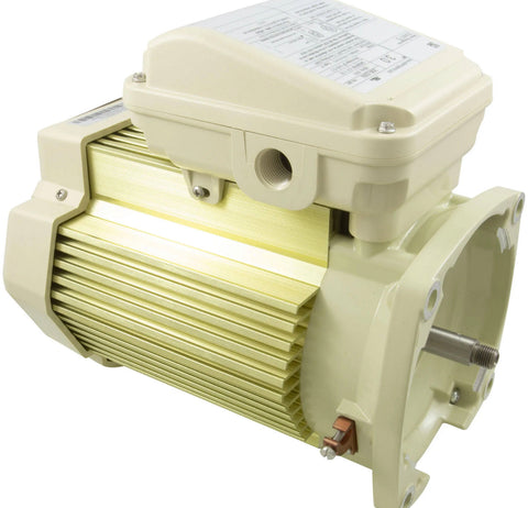 Pentair WhisperfFlo Pump Motor Single Speed 3 HP TEFC | 354817S