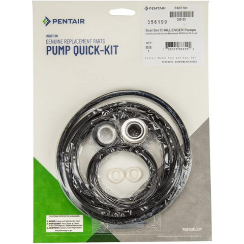 Pentair Pump Seal Kit for Challenger Pump | 356199