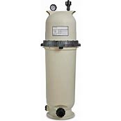 Pentair Clean & Clear Cartridge Filter 100 | 160316