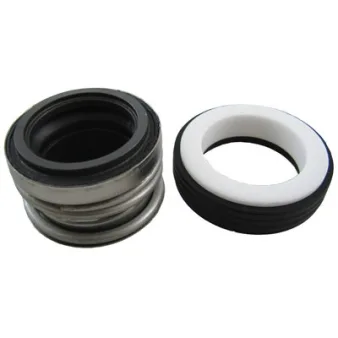 Pentair C/EQ Series Shaft Seal | 071725S