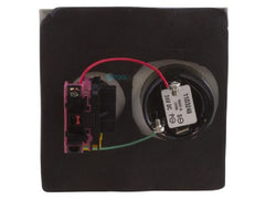 Pentair Compool Shut Off Switch w/ Alarm | ESO2