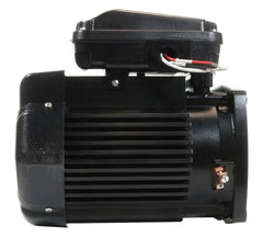 Pentair TEFC Square Flange Motor 2 HP 3-Phase 208-230/460V | 354810S