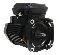 Pentair TEFC Square Flange Motor 2 HP 3-Phase 208-230/460V | 354810S