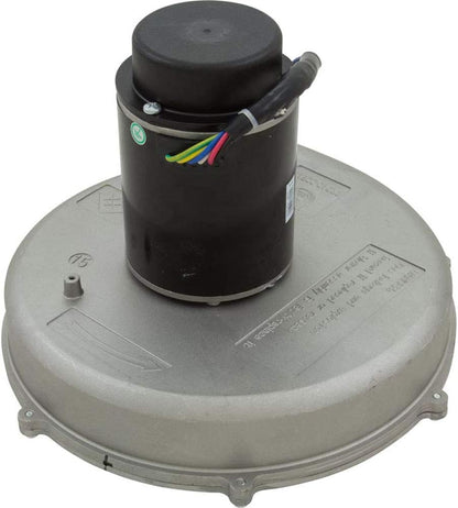 Pentair MasterTemp & Sta-Rite Max-E-Therm 400 Natural Gas Heater Blower Kit | 77707-0253 by Pool Supply Depot LLC