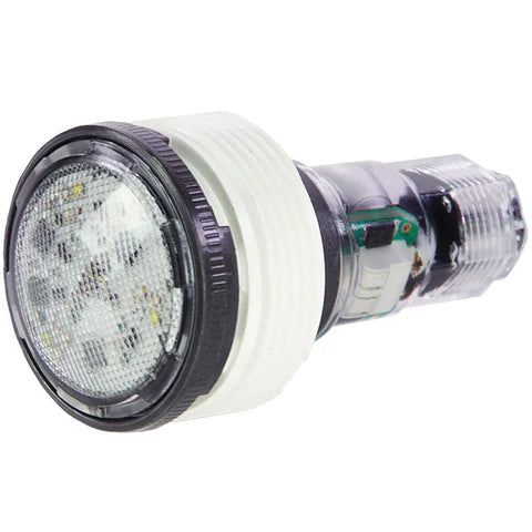 Pentair MicroBrite White LED Light 12V, 100' Cord | EC-620429