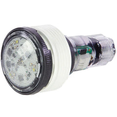 Pentair MicroBrite White LED Light 12V, 100' Cord | EC-620429