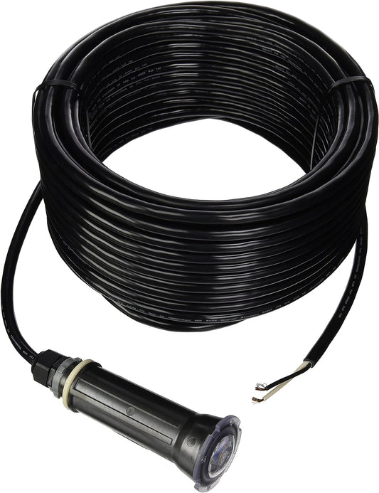 Pentair Globrite, COLOR, Led Light, 12V, 100FT Cord | 602055 by Pool Supply Depot LLC