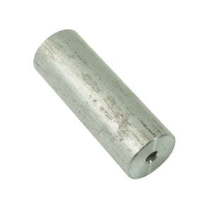 CMP Replacement Zinc Element for Compact Pool Defender 25810-400-950