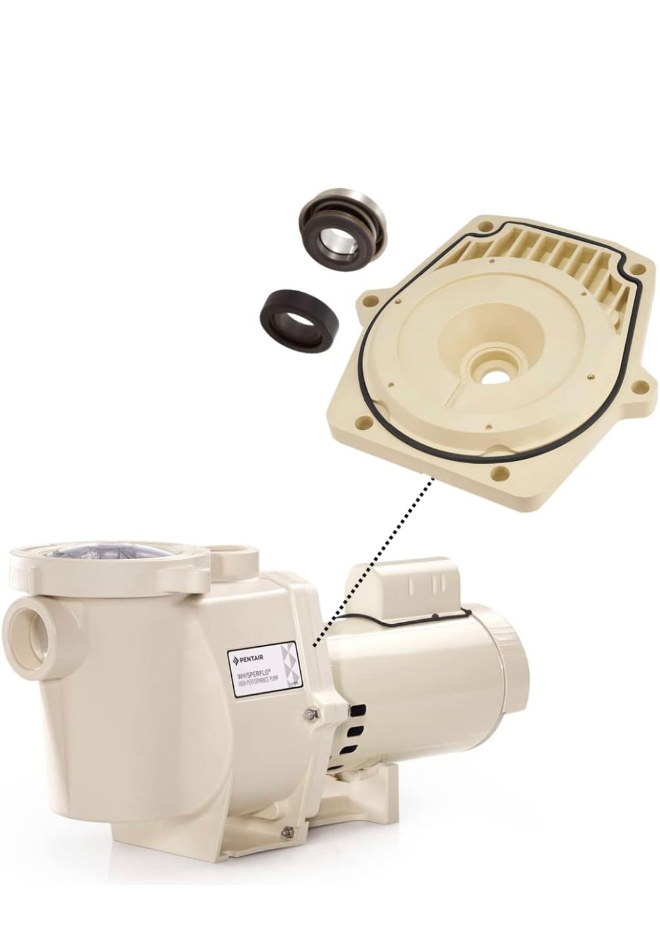 Swimmable Pentair WisperFlo and IntelliFlo Seal Plate by Pool Supply Depot LLC