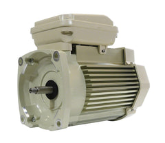 Pentair 354817S. TEFC. 3HP 208-230Volt. WhisperFlo Pump Motor. Almond