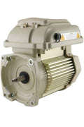 Pentair 353132S. SuperFlo VS Pump Motor and Drive Assembly for Pentair 342001. by Pool Supply Depot LLC