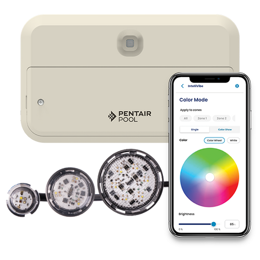 Pentair IntelliVibe Controller 14V 200 Watt | 602260 by Pool Supply Depot