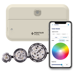 Pentair IntelliVibe Controller 14V 200 Watt | 602260