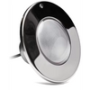 PureWhite LED Spa Light with 100' Cord 100W | 21101