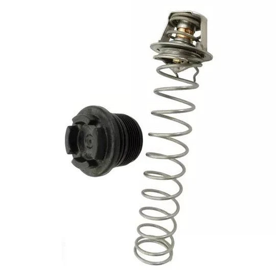 Pentair MasterTemp & Sta-Rite Max-E-Therm Thermal Regulator Kit | 77707-0010 by Pool Supply Depot LLC