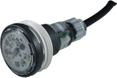 Pentair Microbrite, COLOR LED Light, 12V, 100FT Cord | 620425