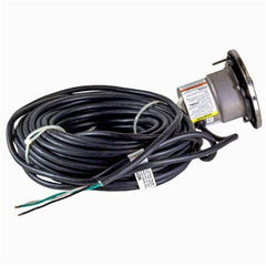 Jandy Small White Spa Light, 120V, 100W, Stainless Steel, 100 ft Cord | WSHV100WS100