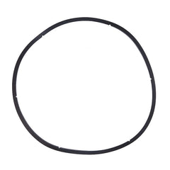Pentair EQ Series Pump Lid Gasket 350166