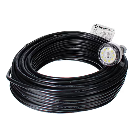 Pentair MicroBrite White LED Light 12V, 100' Cord | EC-620429