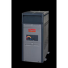 Raypak ProTek Shield Assembly 399K BTU | 017960F