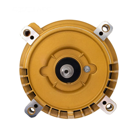 Hayward Maxrate Pool Pump Motor 3/4HP 56J | SPX1605Z1M