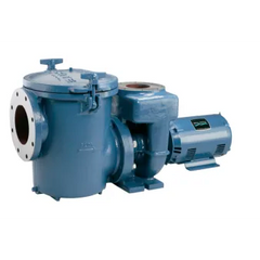Pentair Sta-Rite® CCSP Series Commercial Pump 10 HP 208-230/460V 27.6-24.4/12.2 Amp | CSPHL3-143