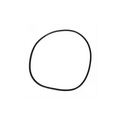 O-Ring for Clean & Clear® Plus and FNS Plus Tank | 0-497 by Pool Supply Depot