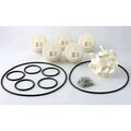 Caretaker 5-Port Water Valve Rebuild Kit | 5-9-2001 - product image 1