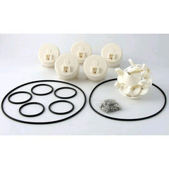 Caretaker 5-Port Water Valve Rebuild Kit | 5-9-2001 - product image 1