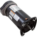 Century Centurion Pro Pool Pump Motor Square Flange 1.65 THP 1-Speed 115/230V 48Y Frame HSQ165