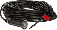 Pentair 602056. Globrite Color LED Multi-Color Pool Lights (12 Volt 150ft Cord). TradeGrade.