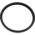 Hayward Plastic Threaded Winter Plug w/ O-Ring for 1-1/2" Fitting, Black