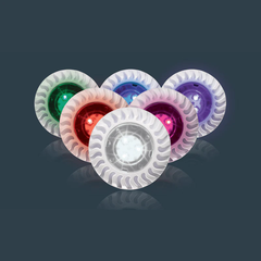 Pentair Globrite, Color, Led Light, 12V, 100FT Cord (New Revision) | 602055
