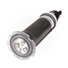 Pentair Globrite, Color, Led Light, 12V, 100FT Cord (New Revision) | 602055