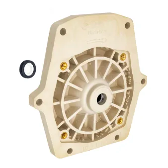 Pentair OEM Pump Seal Plate Kit w/ Gasket | 350202