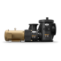 Jandy Commercial Polymer Pump 5 HP with Strainer | JCP051CTS - product image 3