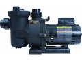 Jandy FloPro Pump 0.75 HP with Strainer | FHPM.75 - product image 3