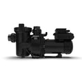 Side view of Jandy VSFHP165DVSP FloPro pool pump showing the strainer housing and motor.