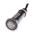 Pentair GloBrite White LED Pool Light 12V 100FT Cord | 602104 - product image 2