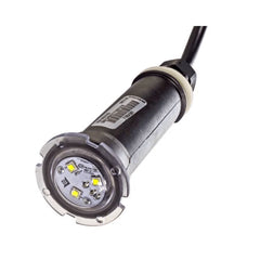 Pentair Globrite, WHITE, Led Light, 12V, 100FT Cord | 602104