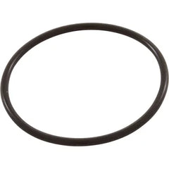 Pentair LeafVac Lid O-Ring | 219001Z