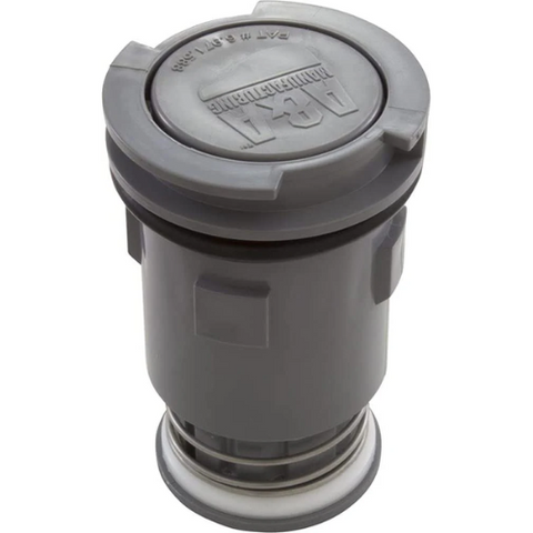 Pentair 232203 A&A G4 Low Flow Internal Head, Gray - Replacement Part for In-Floor Pool Cleaning Systems by Pool Supply Depot