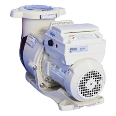 Pentair IntelliFloXF VSF Variable Speed Pump 3.95 THP | 022056