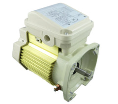 Pentair WhisperFlo/Superflo Pump Motor Single Speed 3/4 HP TEFC | 354803S