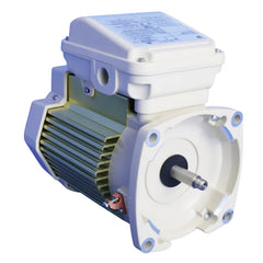 Pentair WhisperFlo Pump Motor Single Speed 1 HP TEFC | 354821S