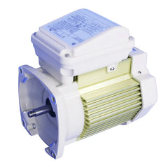 Pentair WhisperFlo Pump Motor Single Speed 1 HP TEFC | 354821S