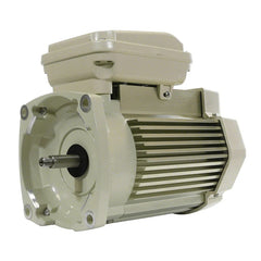 Pentair Whisperflo XF Pump Motor, 3 HP, 208-230-460 V, Three Phase | 354811S