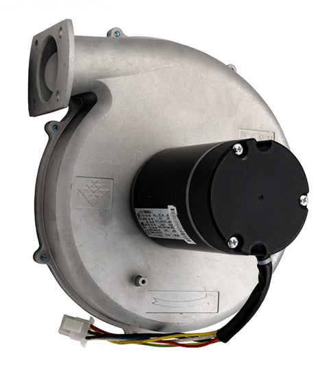Pentair MasterTemp Air Blower Kit 250K Natural Gas 460743 – view 3
