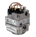 Pentair ETi 400 Gas Valve Replacement Kit | 476001 - product image 3